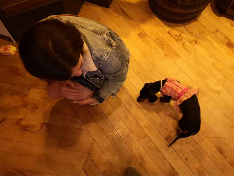 Naomi crouching down to pet a sausage dog wearing a pink tutu